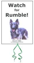 Please click to help find my brother Rumble!